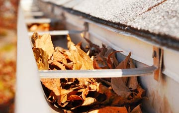 Fellgate gutter cleaning companies