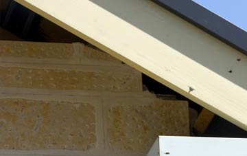 soffit repair Fellgate
